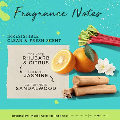 Carol’s Daughter Born to Repair Nourishing - Image 8