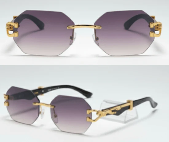 Chic Looks Sunglasses - EA0972