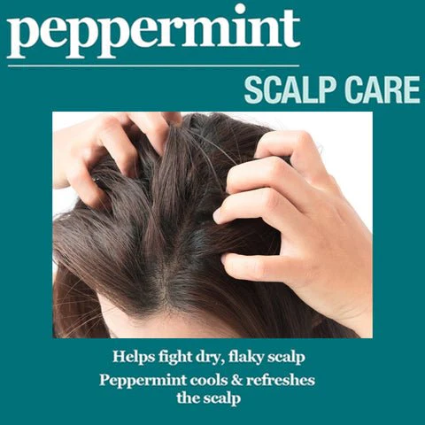 Difeel Peppermint Scalp Care Hair Mask โ 12 oz - Image 3