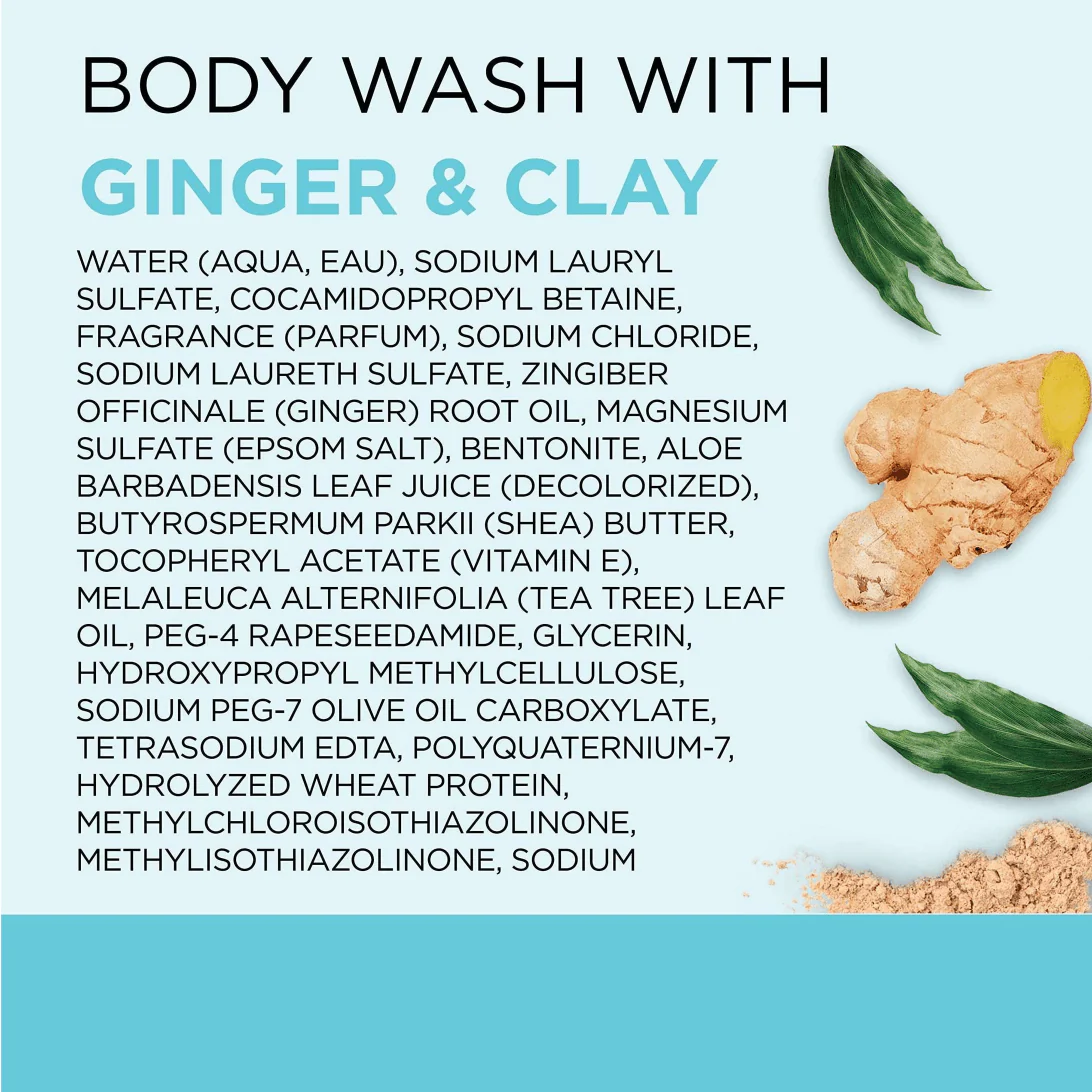 Dr. Teal's Detox & Energize with Ginger & Clay Body Wash β 24oz - Image 4