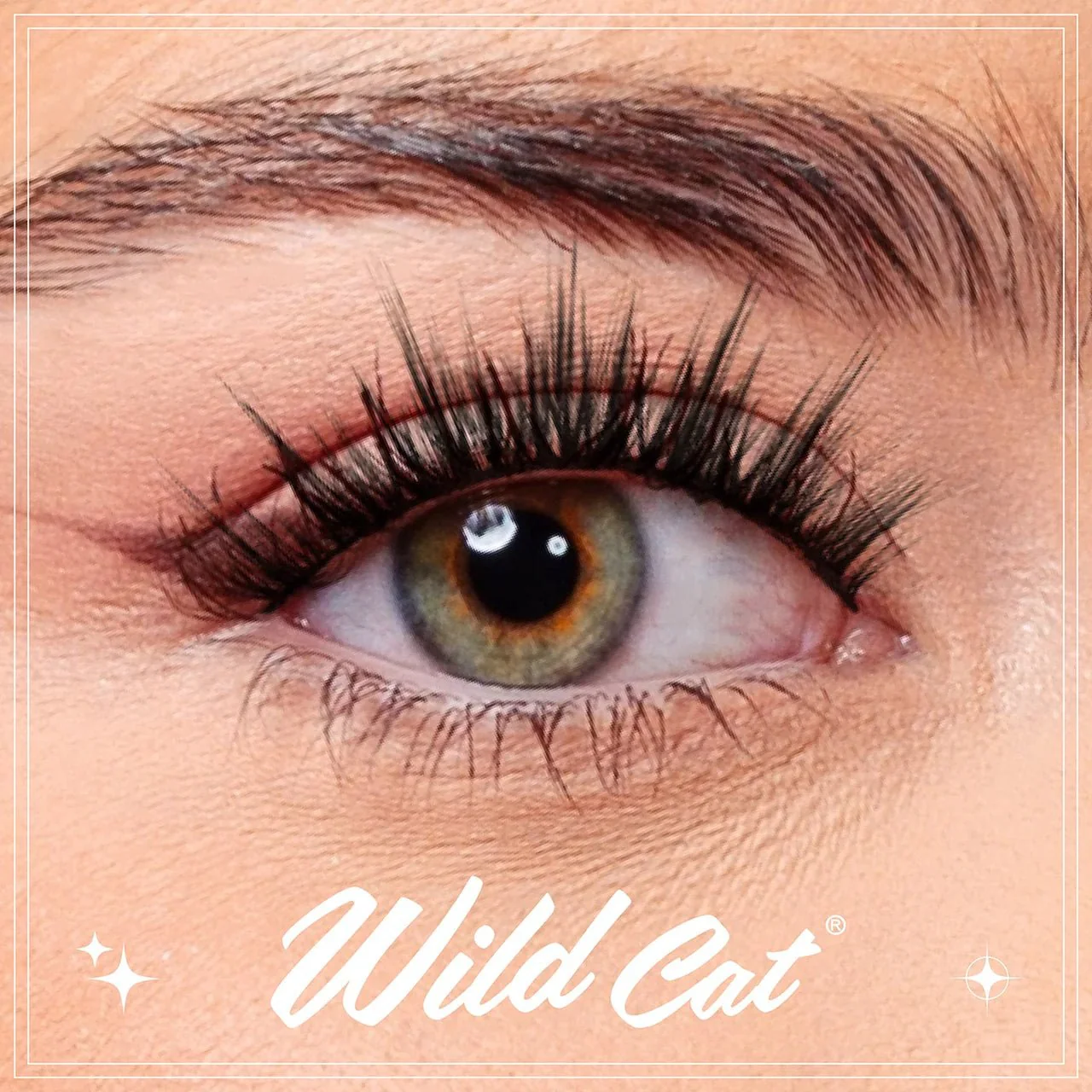 EBIN CATTITUDE Lashes Faux Mink Styles – 01 to 06 - Image 4