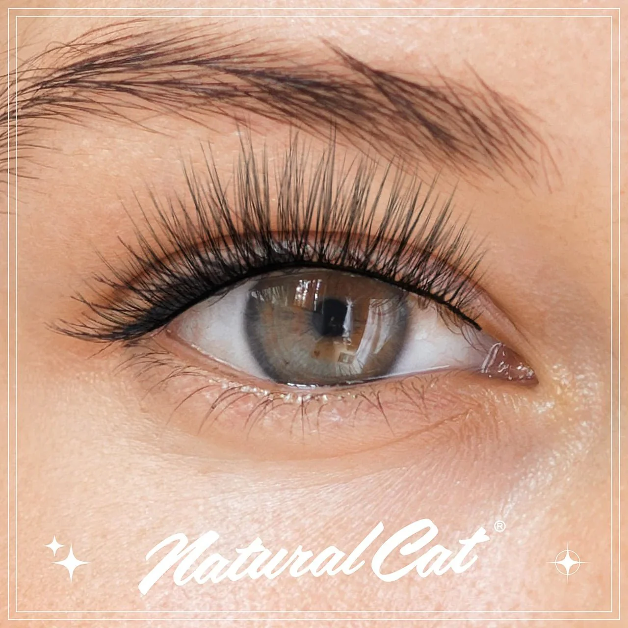 EBIN CATTITUDE Lashes Faux Mink Styles – 01 to 06 - Image 54