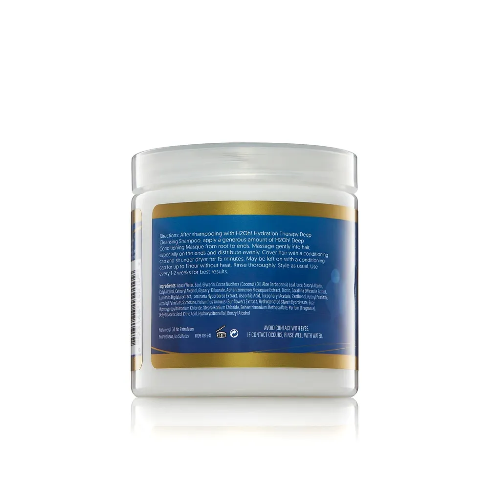 The Mane Choice H2Oh! Hydration Deep Conditioning Masque – 8 oz - Image 3